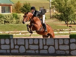 Greetings Tops USHJA National Derby